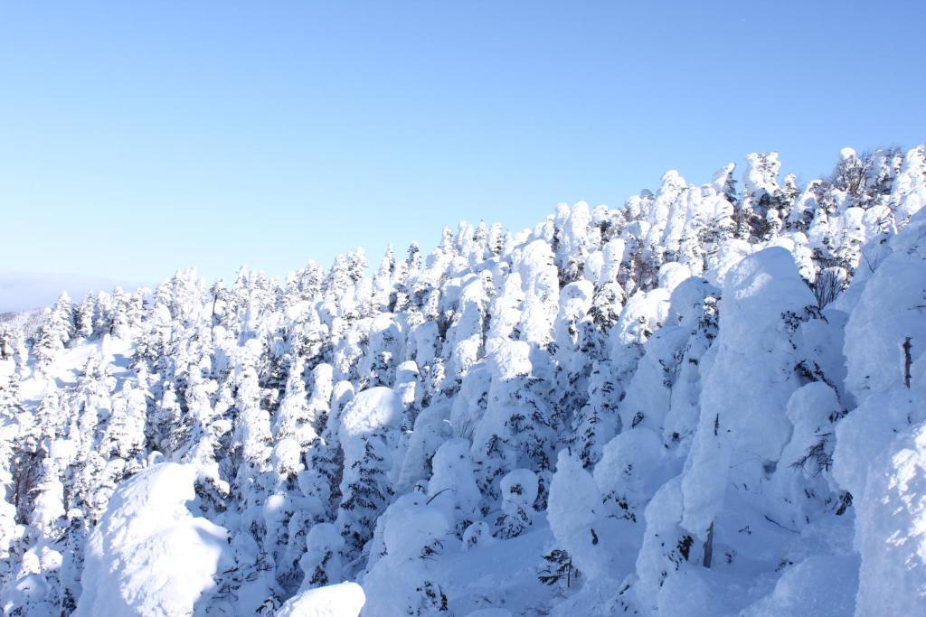 Aspen Shiga Ξενοδοχείο Yamanouchi  Εξωτερικό φωτογραφία